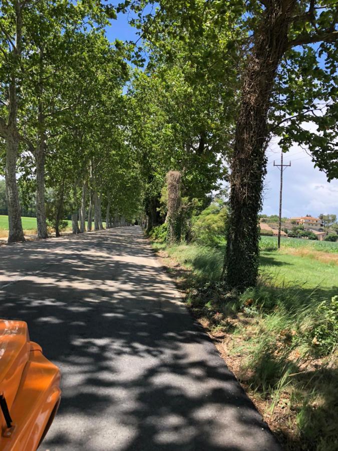 Apartmán Mas Pineii 2 - Viu Be Torroella de Montgrí Exteriér fotografie