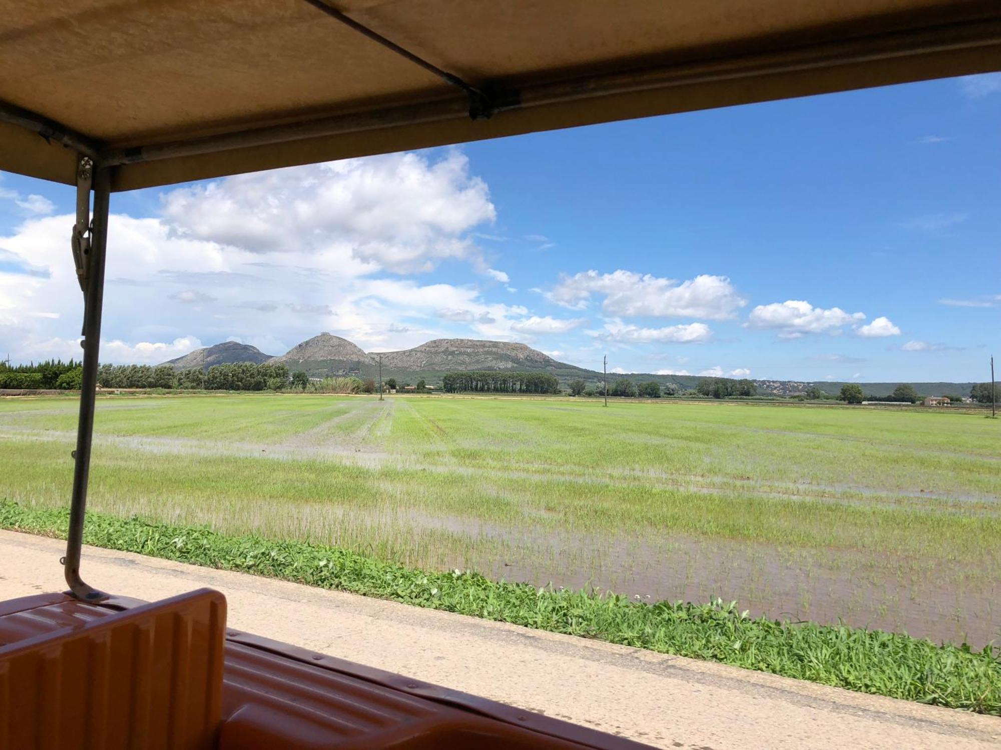 Apartmán Mas Pineii 2 - Viu Be Torroella de Montgrí Exteriér fotografie